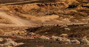 content-hierarchy-logic